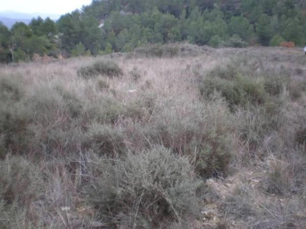 Terreno en Sant Vicenç de Castellet