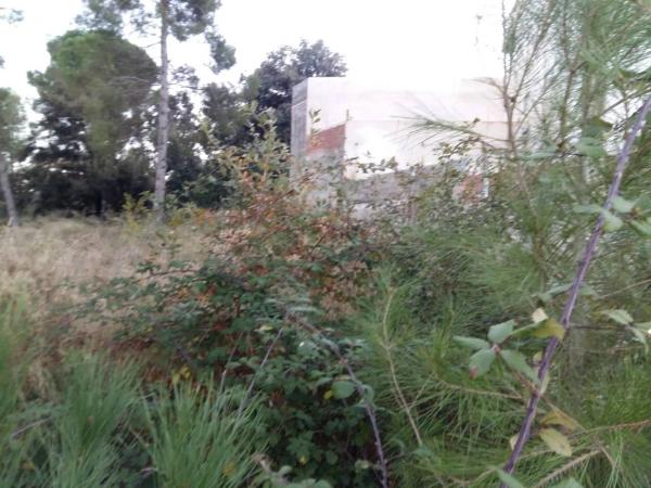 Terreno en Castellgalí