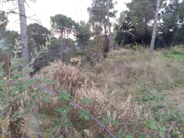 Terreno en Castellgalí