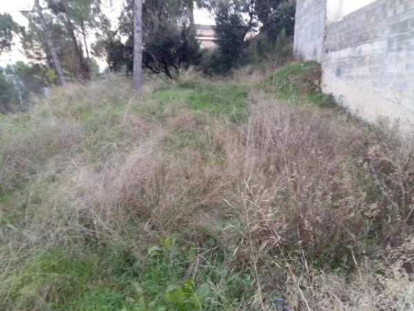 Terreno en Castellgalí