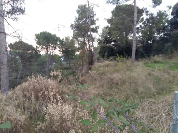 Terreno en Castellgalí