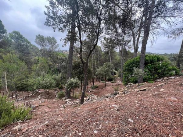 Terreno en Castellnou de Bages