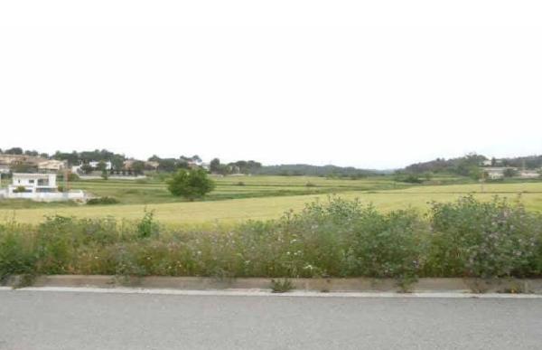 Terreno en calle Pla del Cos s/n Sn