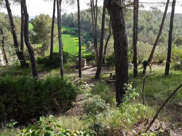 Terreno en Castellnou de Bages