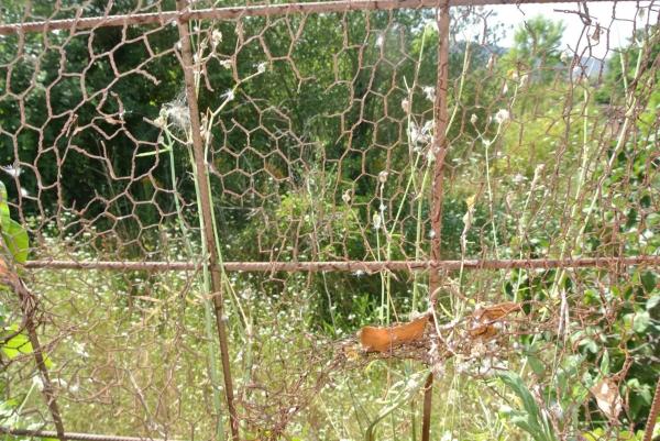 Terreno en Castellbell i el Vilar
