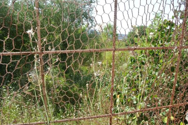 Terreno en Castellbell i el Vilar