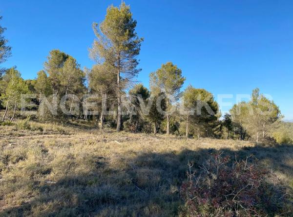 Terreno en calle Serrat Ferrer