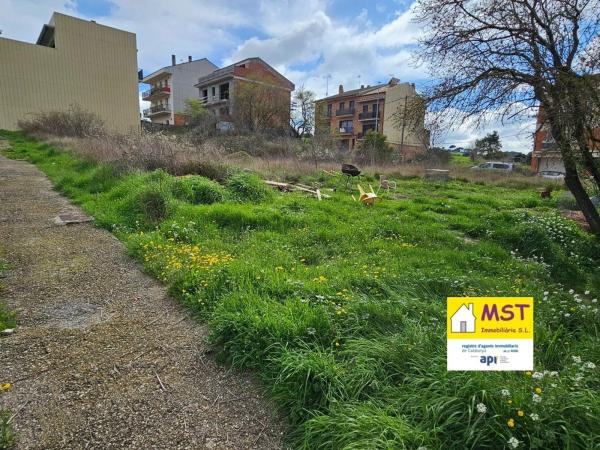 Terreno en carretera del Mujal, 20