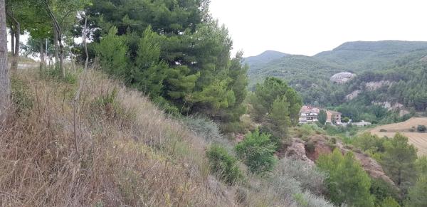 Terreno en calle de Teresa de Calcuta