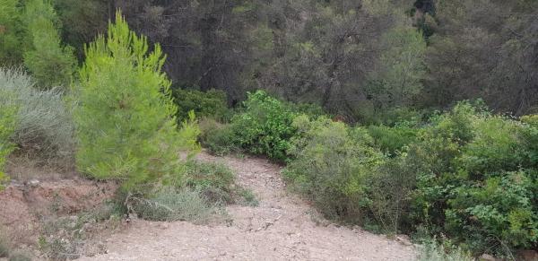 Terreno en calle de Teresa de Calcuta