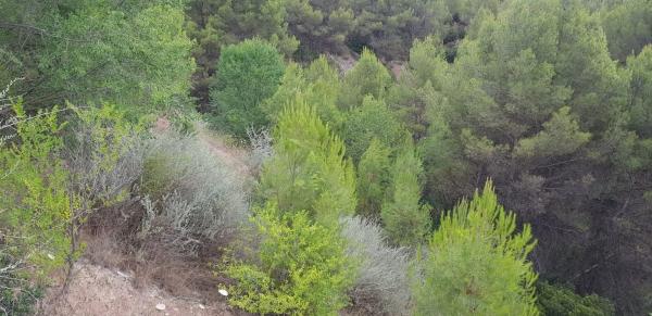 Terreno en calle de Teresa de Calcuta