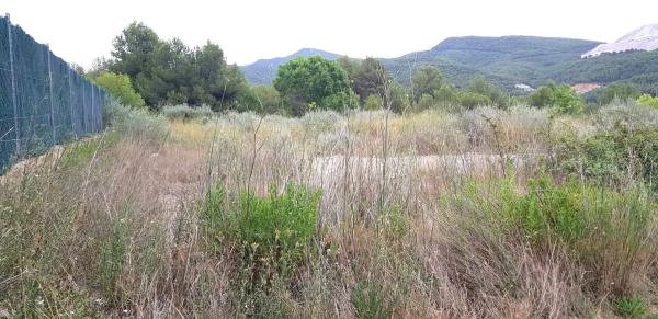 Terreno en calle de Teresa de Calcuta