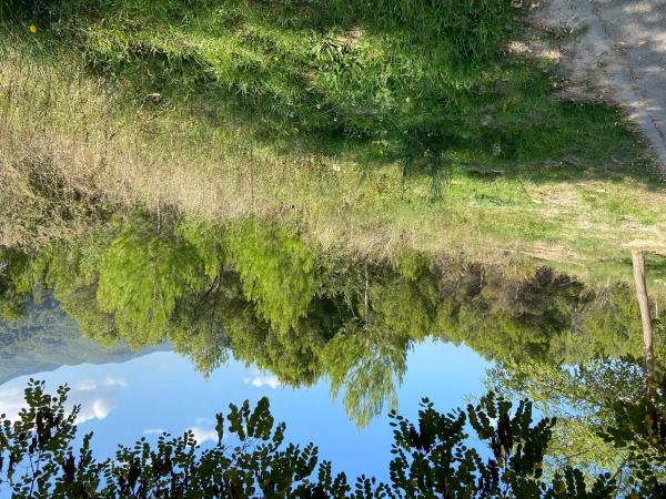 Terreno en calle de Teresa de Calcuta
