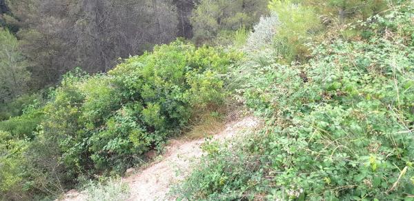 Terreno en calle de Teresa de Calcuta