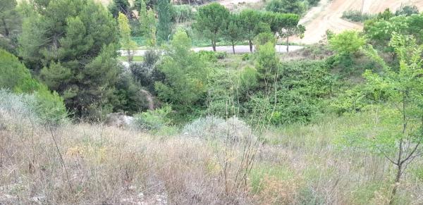 Terreno en calle de Teresa de Calcuta