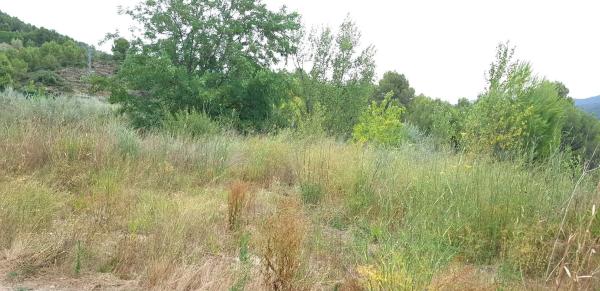 Terreno en calle de Teresa de Calcuta