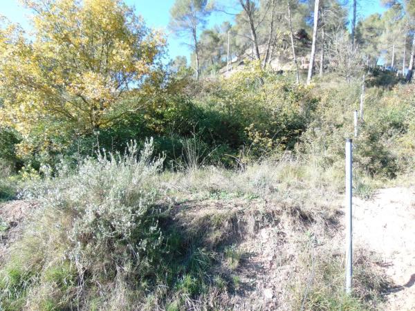 Terreno en calle del Bosc s/n