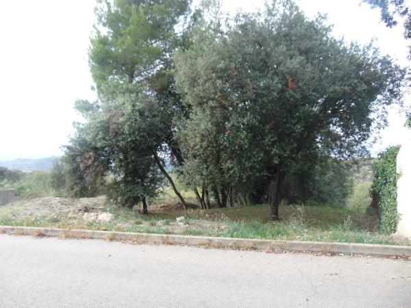Terreno en calle de la Llebre, 8 b