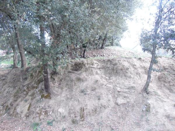 Terreno en calle de la Llebre, 8 b