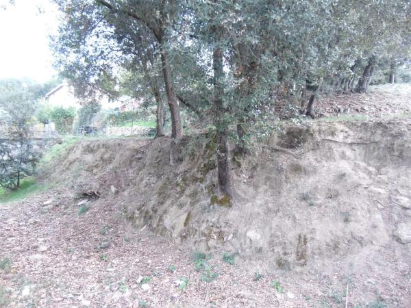 Terreno en calle de la Llebre, 8 b