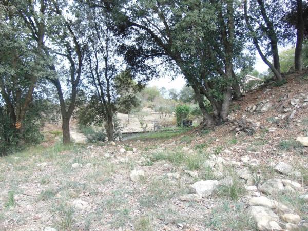 Terreno en calle de la Llebre, 8 b