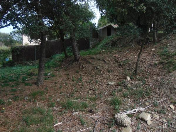 Terreno en calle de la Llebre, 8 b