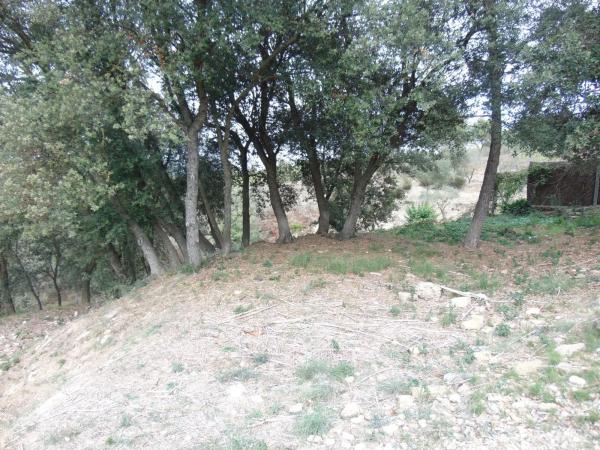 Terreno en calle de la Llebre, 8 b