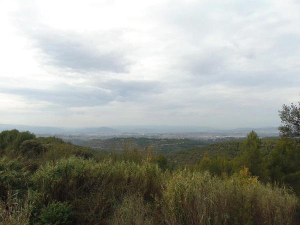 Terreno en calle de la Llebre, 8 b