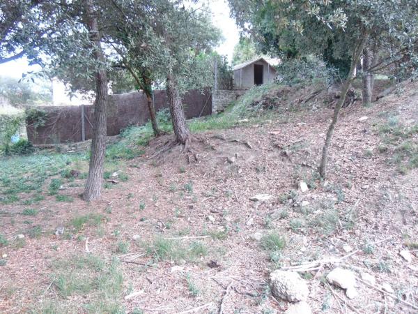 Terreno en calle de la Llebre, 8 b