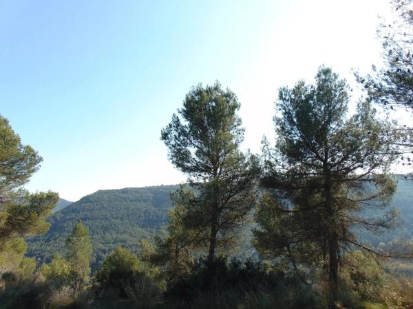 Terreno en calle Mirador de Canet s/n