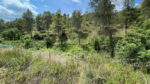 Terreno en calle Perdius, 2