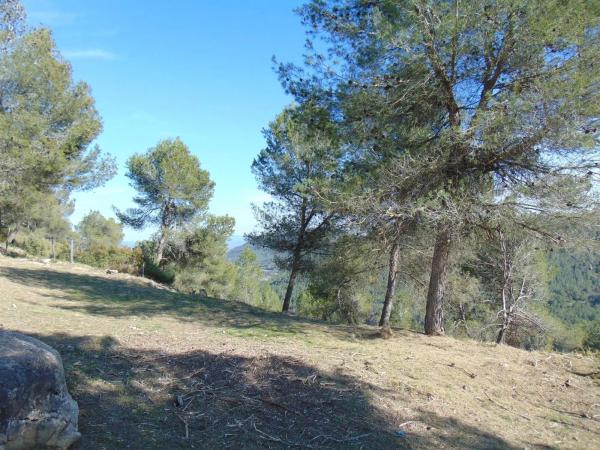 Terreno en calle Mirador de Canet s/n