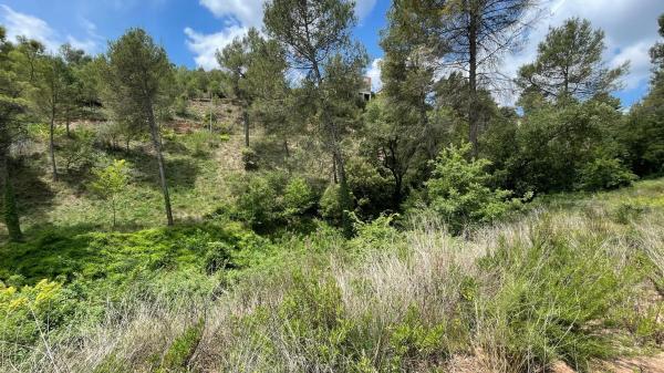 Terreno en calle Perdius, 2