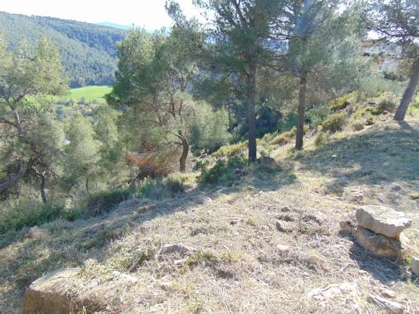 Terreno en calle Mirador de Canet s/n