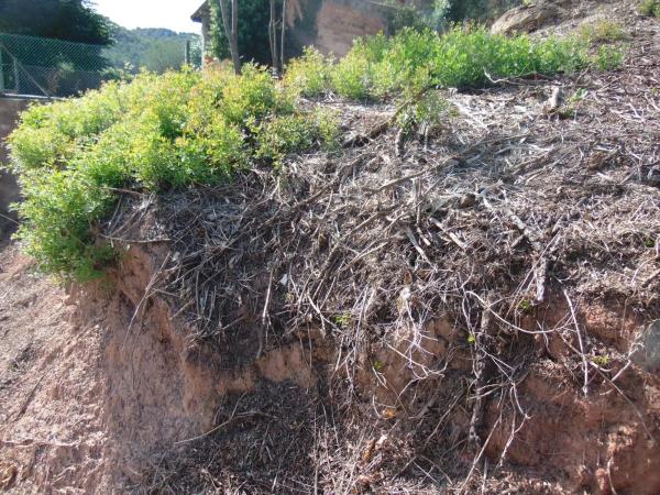 Terreno en calle Ferradura, 17