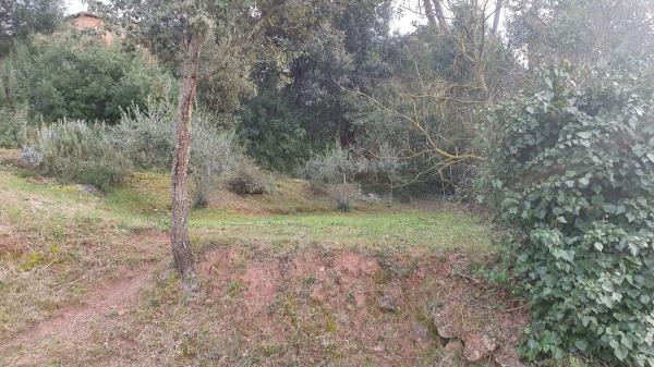 Terreno en calle de la Era, 14