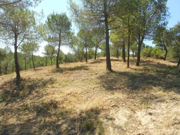 Terreno en El Pont de Vilomara i Rocafort