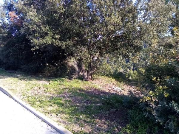 Terreno en calle de la Constitució, 8