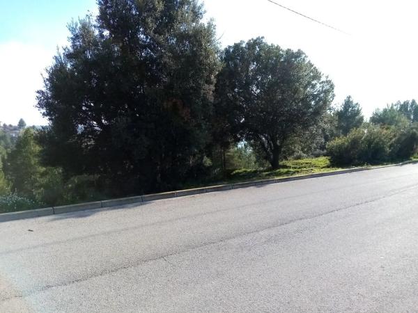 Terreno en calle de la Constitució, 8