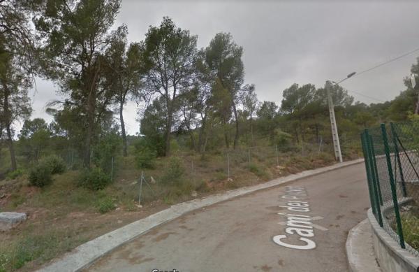 Terreno en camino del Putxot, 1