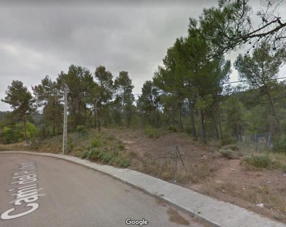 Terreno en camino del Putxot, 1