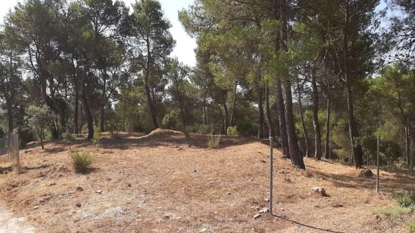 Terreno en camino del Putxot, 1