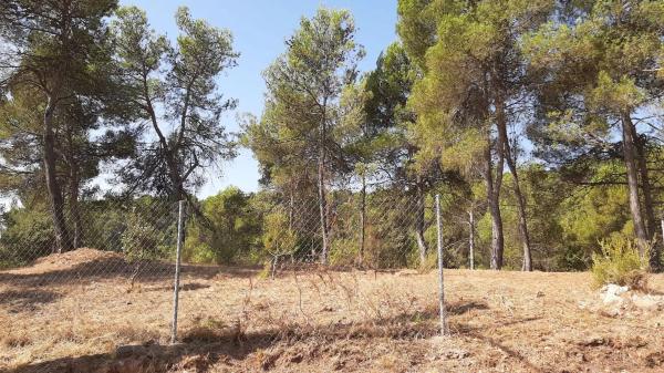 Terreno en camino del Putxot, 1