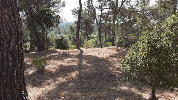 Terreno en camino del Putxot, 1