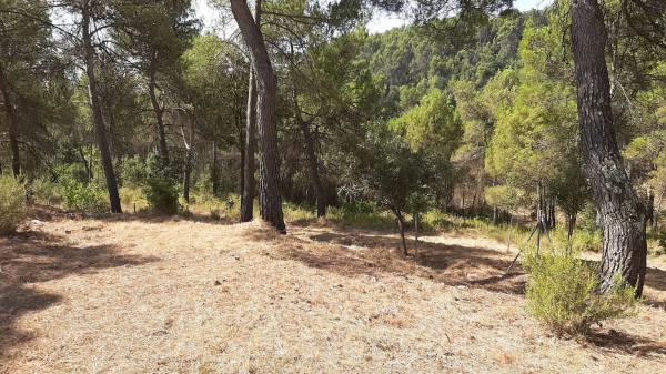 Terreno en camino del Putxot, 1