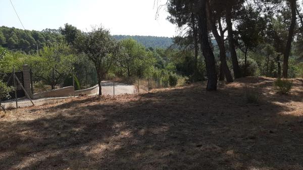 Terreno en camino del Putxot, 1