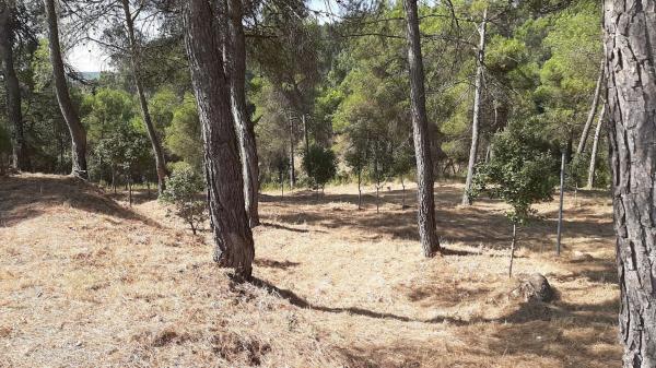 Terreno en camino del Putxot, 1