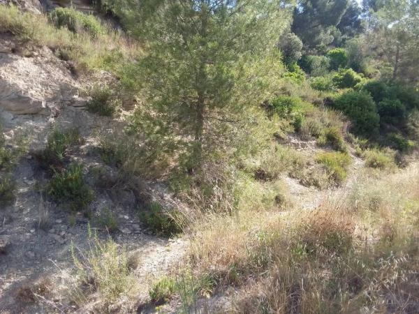 Terreno en El Pont de Vilomara i Rocafort
