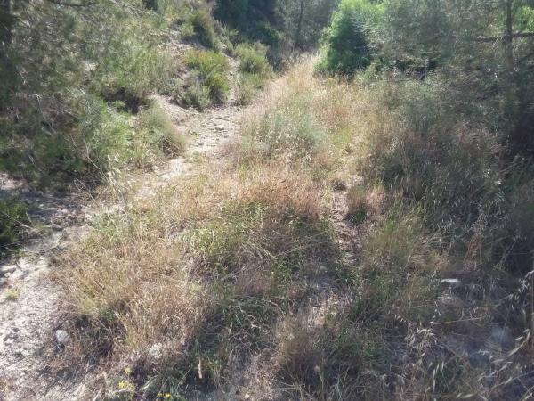 Terreno en El Pont de Vilomara i Rocafort