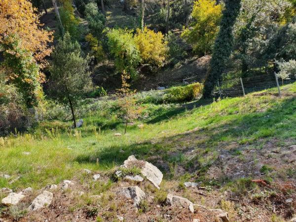 Terreno en pau casals